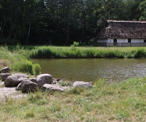 Skansen w Lublinie zachwyca w słoneczny letni dzień!