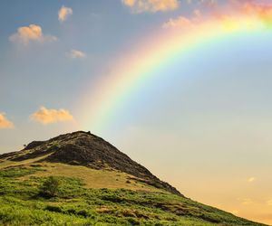 Znaki zodiaku a kolory. Sprawdź, który dodaje Ci największej mocy!