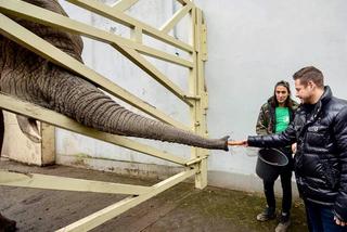 ZOO już otwarte! O czym warto pamiętać przed wycieczką? Rafał Trzaskowski podpowiada