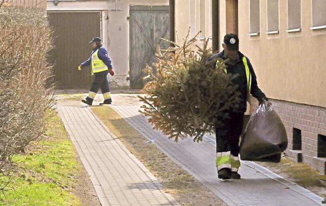 Wiosenne porządki u Tusków