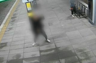 Pszczyna. Wandal zniczył rozkład jazdy. Potem zrobił coś obrzydliwego! Wszystko się nagrało