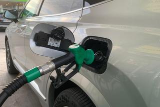 Dlaczego paliwo na stacjach nie tanieje? Ceny w hurcie poleciały, a kierowcy wciąż płacą krocie!