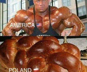 Tak się śmieją z Polski i Polaków! TOP 40 najśmieszniejszych memów
