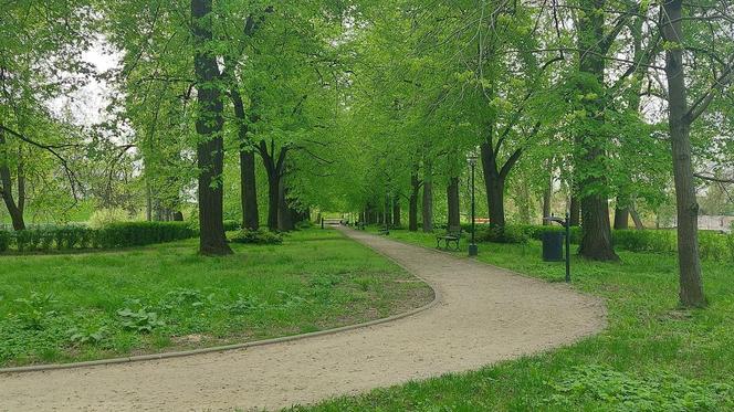 Zamość