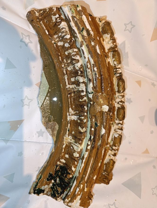 Renowacja kamienicy przy ul. Cybulskiego 19, Wrocław