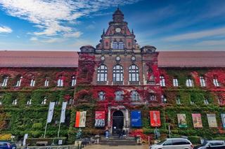 Tutaj złota polska jesień jest najpiękniejsza! Muzeum Narodowe we Wrocławiu aż lśni! [ZDJĘCIA]