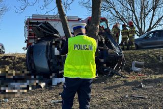 Tragedia na drodze pod Nysą. Samochód wjechał w drzewo. Nie żyją cztery osoby
