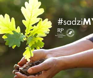 Czwarta edycja akcji #sadziMY również w Iławie. Kiedy i gdzie odebrać sadzonki?