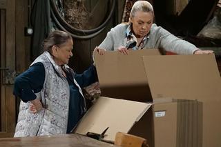 Pierwsza miłość, odcinek 3856: Celina (Grażyna Zielińska), Krystyna