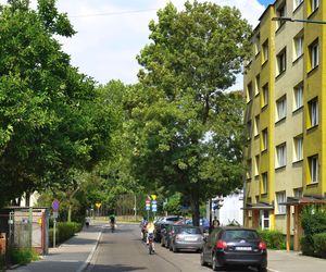 Dzielnica Krowodrza, Kraków