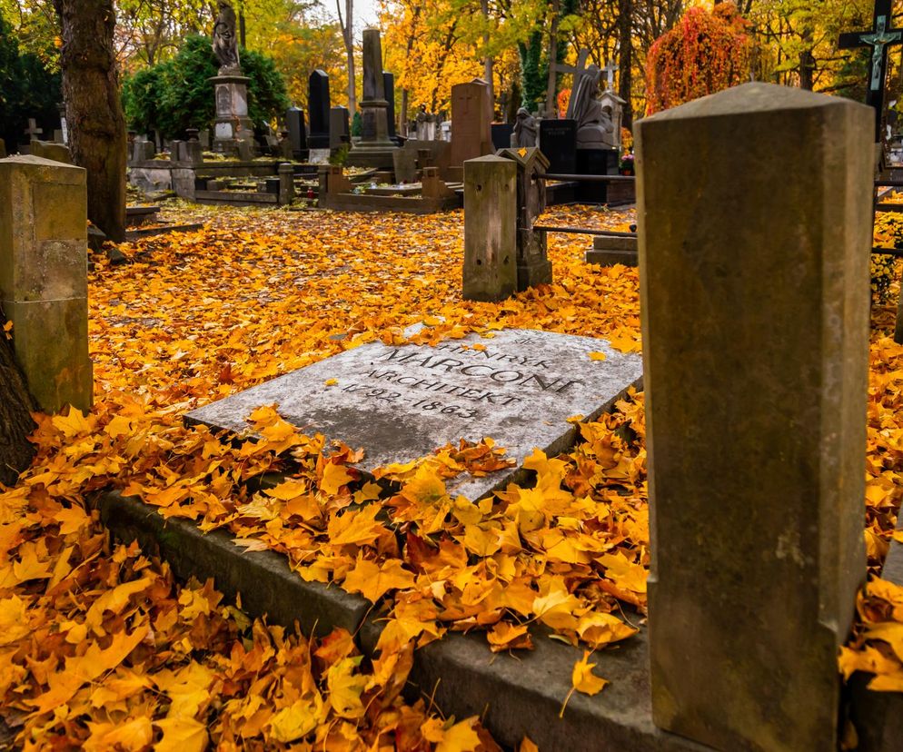 Nagrobek Henryka Marconiego, włoskiego architekta działającego w Polsce, na tle cmentarza Stare Powązki pokrytego jesiennymi, złotymi liśćmi. Obiekt w naturalnym kontekście cmentarnej architektury. Więcej o wybitnych postaciach polskiej architektury przeczytasz na Architektura Murator Plus.