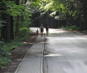 Świętokrzyski Park Narodowy