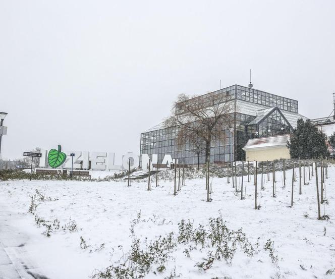 Zielona Góra w zimowej odsłonie