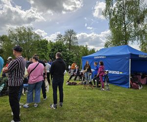 Festiwal Przyjaciół Zwierząt w Olsztynie. Park Centralny opanowały radosne pieski