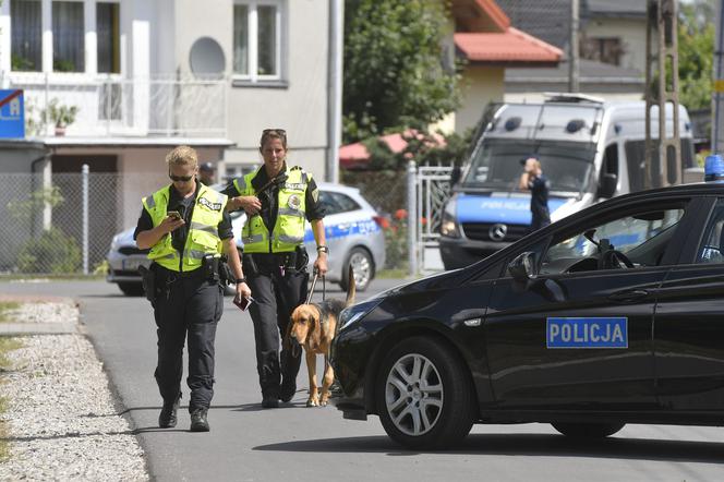 Do poszukiwań Dawidka zostały włączone specjalne psy niemieckiej policji