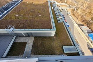 Zielony dach szpitala w Lublinie