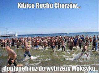 Memy meksyk gdynia kibice z chorzowa (2)