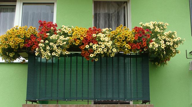 Najpiękniejsze balkony w Starachowicach