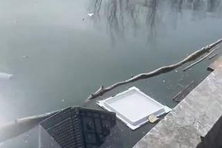  Dom Wielkiego Brata w totalnej ruinie. Uczestniczka programu zszokowana tym, co zastała w luksusowej willi