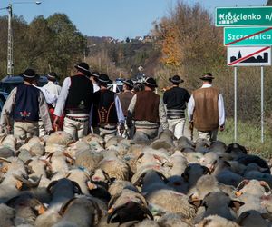Szczawnica i Krościenko