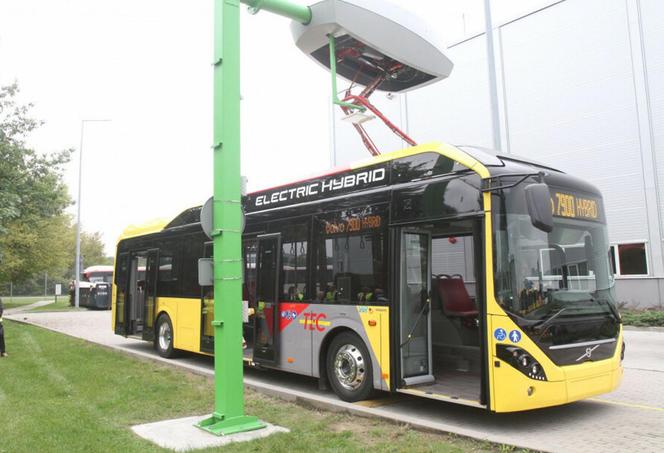 Ile zarabia kierowca autobusu we Wrocławiu?
