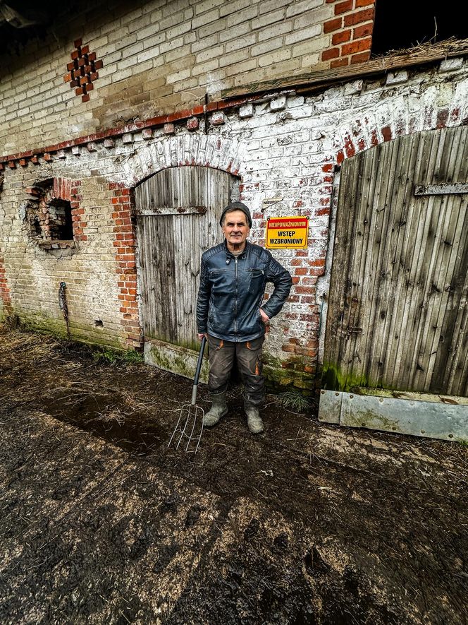 Takt zniknął ze stajni. Właściciel załamany