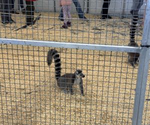 ZooPark w Lublinie. Dzień drugi