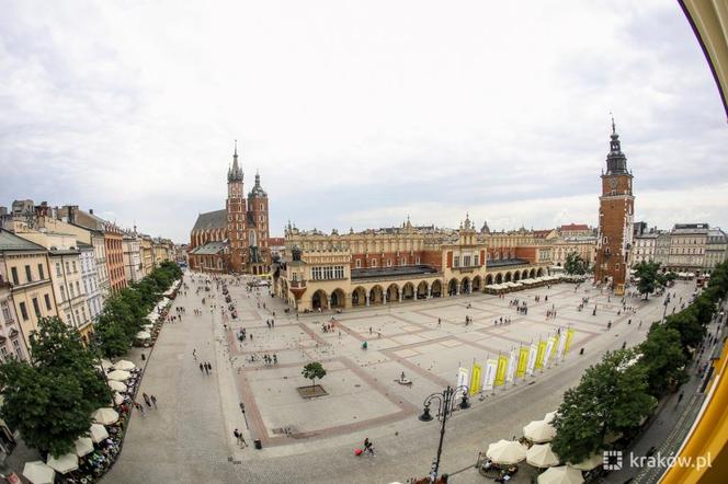 Posadzą więcej drzew na Rynku Głównym w Krakowie - zdjęcia. Kiedyś było ich niemal dwa razy więcej!