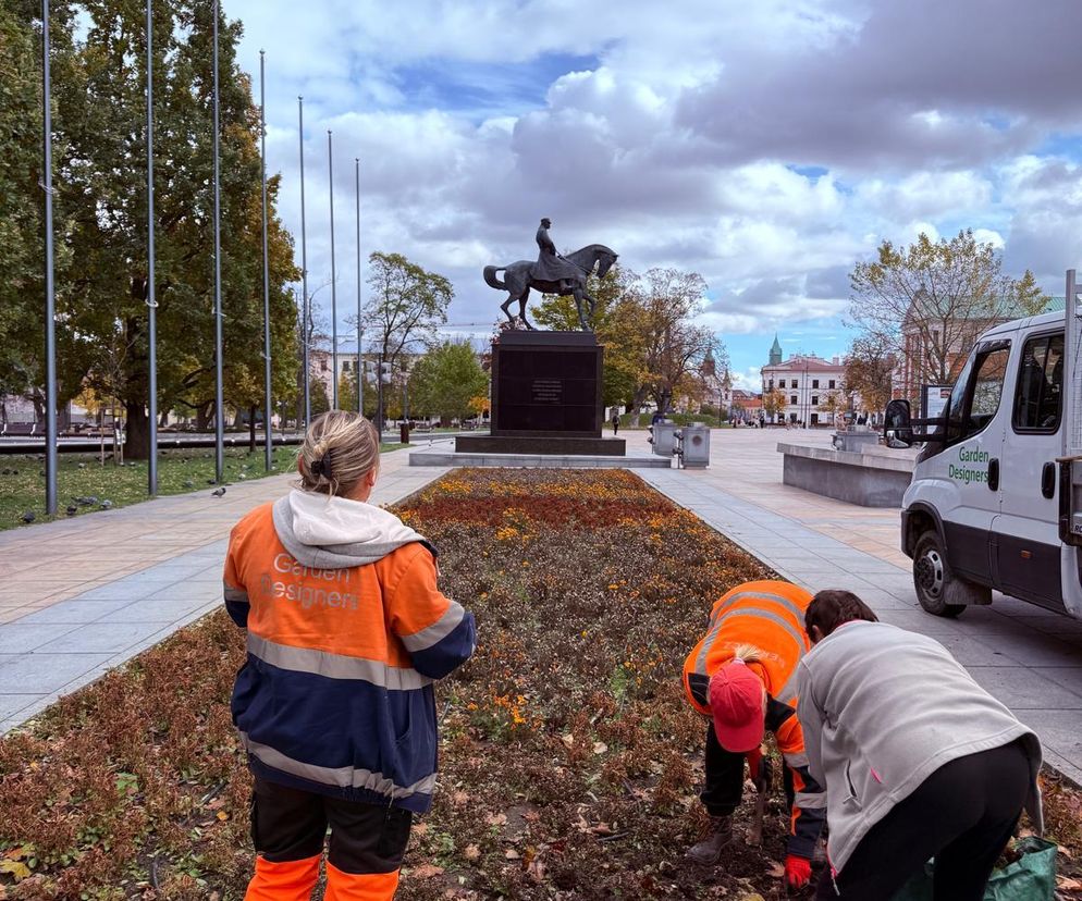 Wymiana nasadzeń sezonowych w centrum Lublina