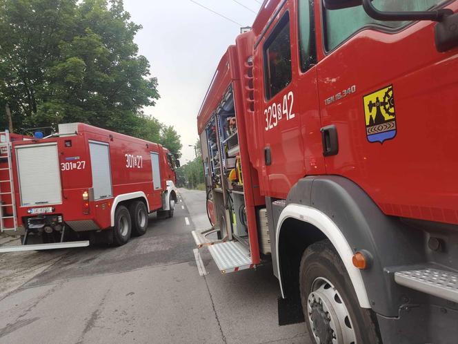 Sobotni pożar altany na ogródkach działkowych w Katowicach