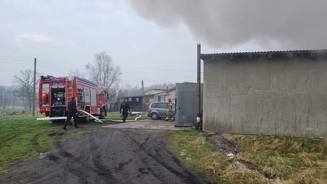 Pożar hali magazynowej w Gostyni ZDJĘCIA
