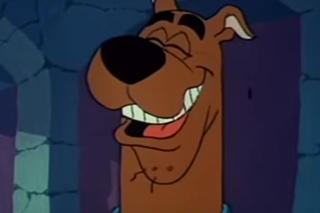 Oglądałeś w dzieciństwie kreskówkę o przygodach Scooby’ego-Doo? Ten quiz sprawdzi, czy pamiętasz serial