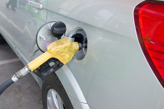Ceny paliwa wrzesień 2022 - ile będzie kosztować benzyna? Cena ropy i gazu zaskoczy!