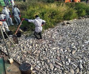 Żołnierze WOT: mimo ciągłego oczyszczania Odry, wiele ryb nadal leży na dnie rzeki 