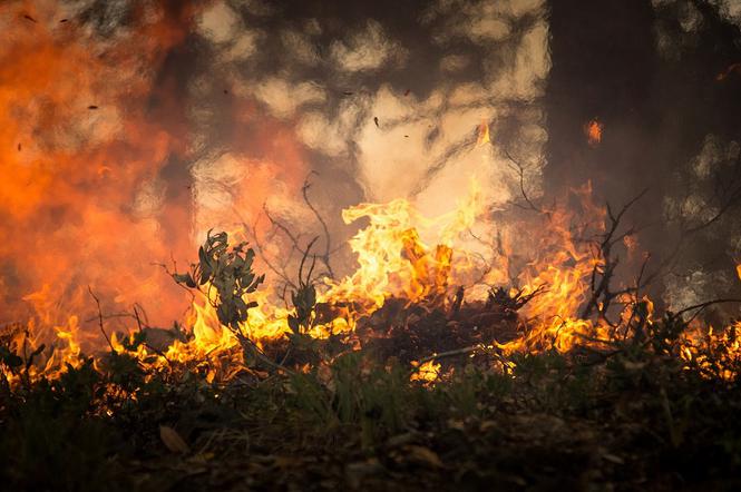 Podkarpacie: Śmiertelna ofiara pożaru traw. Nie zyje 80-latek [AUDIO]