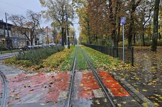 Czarna szyna to niepokojące zjawisko. Alarm dla mieszkańców Torunia