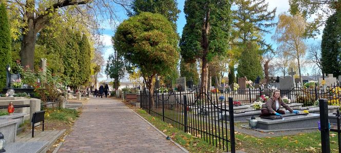 Przygotowania do Wszystkich Świętych Zamość