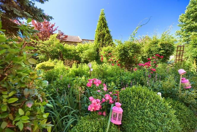 Prywatny raj  Anity i Jerzego – mały ogród botaniczny 
