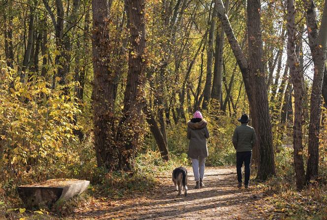 Koniec lata w ten weekend. Ferdynand spowoduje gwałtowny spadek temperatury