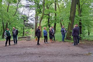 Poszukiwanie mogiły żołnierzy niemieckich w Parku Sanguszków w Tarnowie