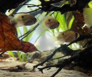 Rozmawiamy z Tomaszem Wiśniewskim, założycielem Aqua Dreams Bydgoszcz