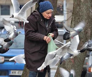 Anna Chodakowska. Gwiazda Labiryntu wśród ptaków