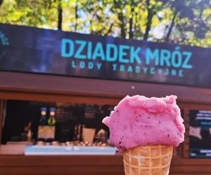 Ranking 10 najlepszych lodziarni w Katowicach