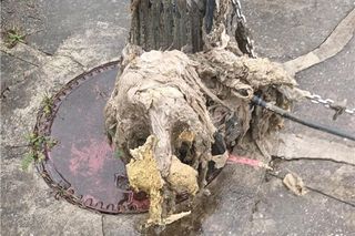 Pokazali, co wrocławianie wrzucają do toalet. Do kanalizy lądują nawet kury