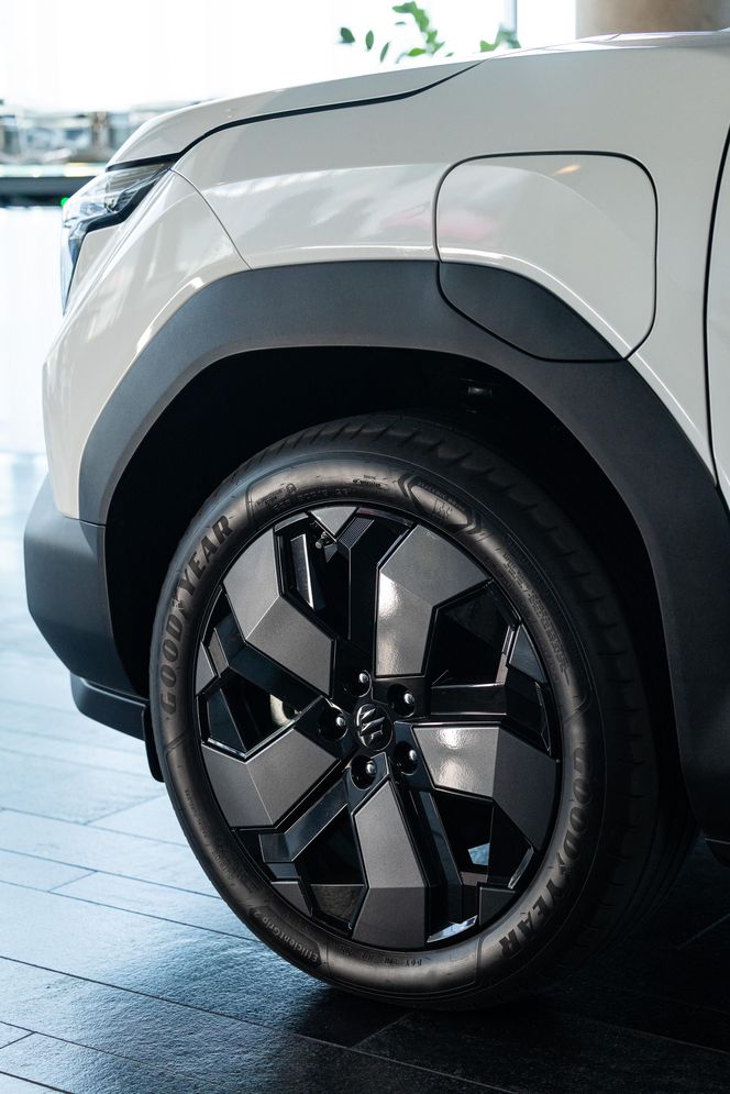 Suzuki eVitara