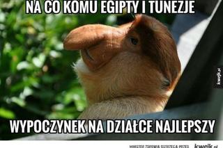 Majówka 2023 zbliża się wielkimi krokami! Zobacz najlepsze memy!