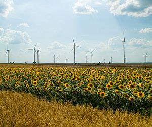 Farma wiatrowa Iłża Pakosław