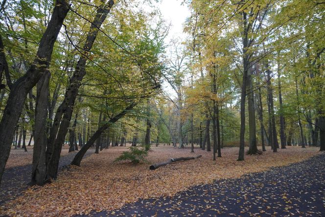 Park Lubomirskich w Białymstoku jesienią 