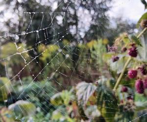 Światowy Dzień Fotografii. Z tych fotek są dumni nasi Czytelnicy! ZOBACZ