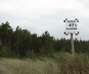 Tu stanie pierwsza w Polsce elektrownia jądrowa. Byliśmy na plaży 